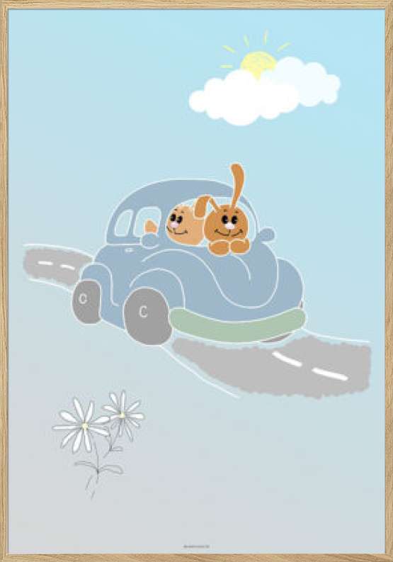 Plakat med kaniner på køretur til dreng