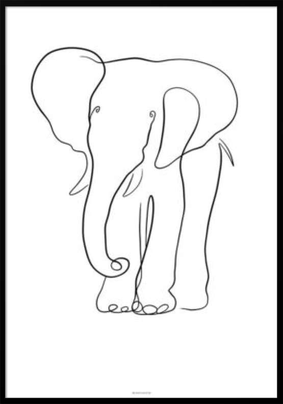 Stregtegninig plakat elefant
