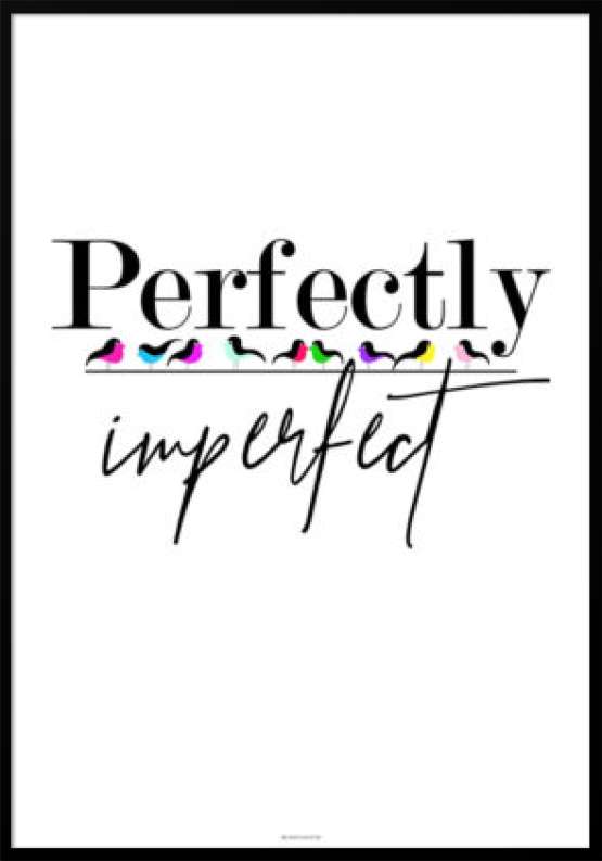Perfectly imperfect - Birds plakat