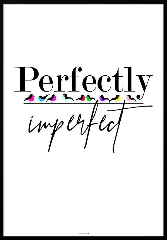 Billede af Perfectly imperfect - Birds plakat
