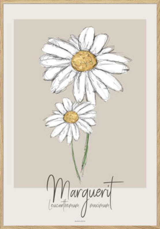 Kunstplakat - Marguerite