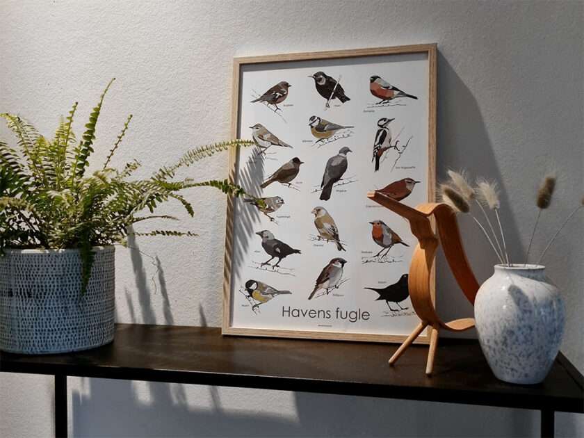 Plakat med havens fugle