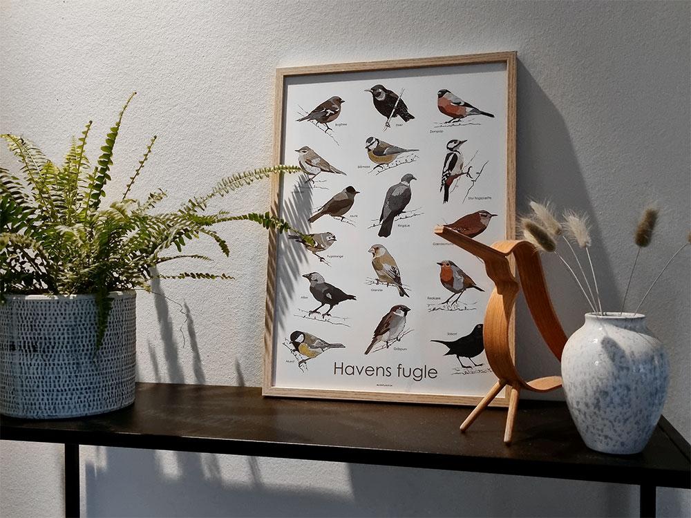 Plakat havens fugle | Unik Plakat