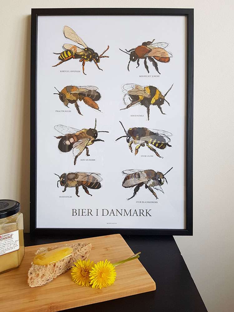 Plakat med bier i Danmark