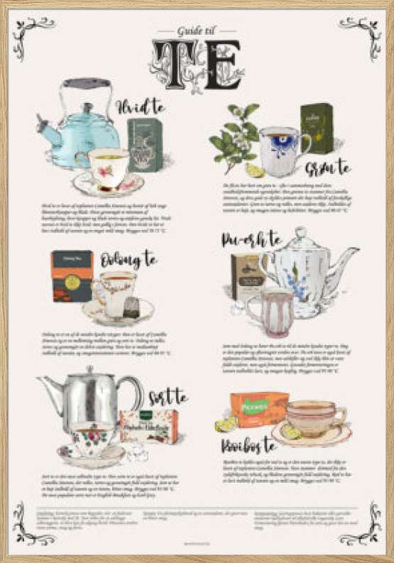 Te plakat - Guide til te