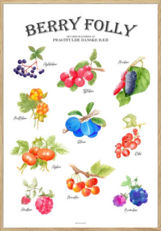 Akvarel plakat - Havens bær