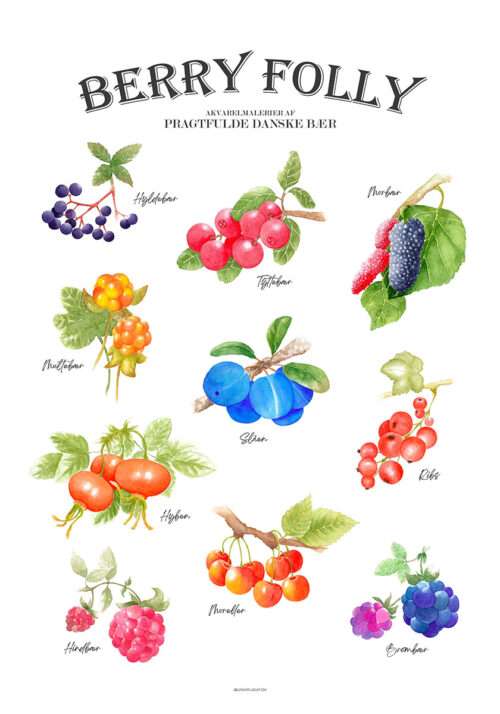 Akvarel plakat - Havens bær