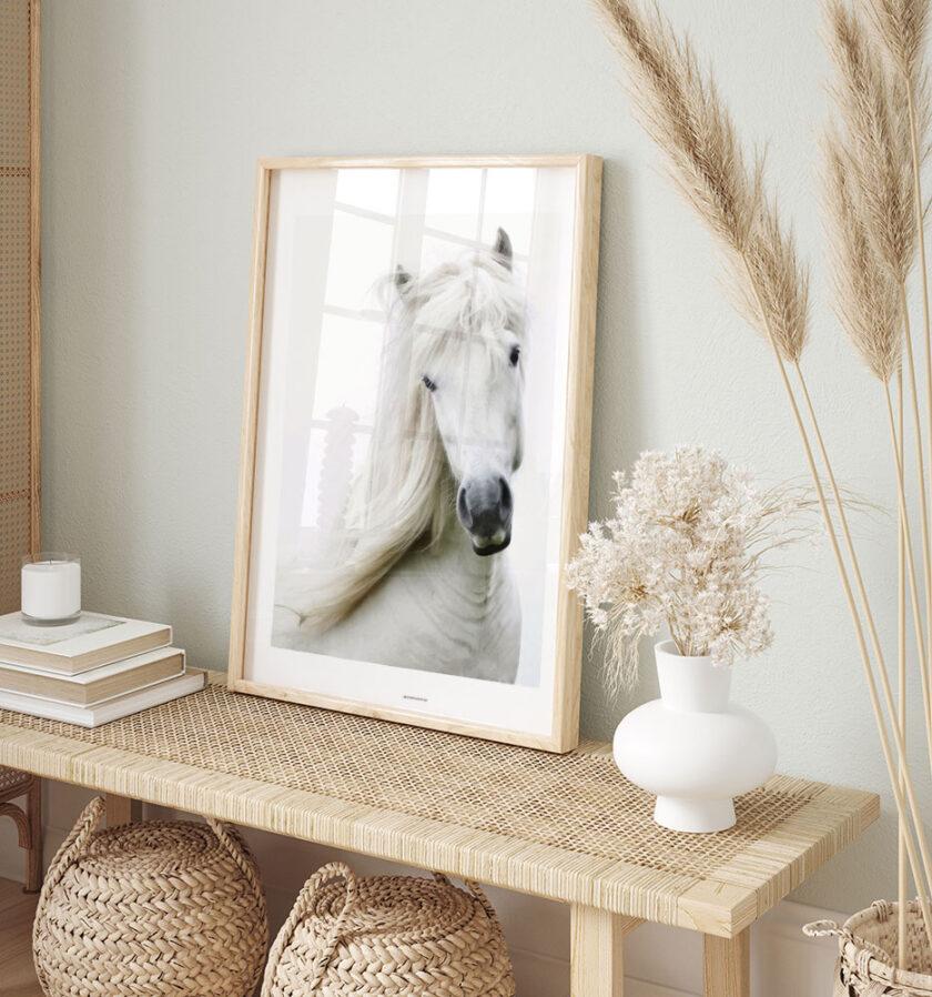 Plakat med hvid hest