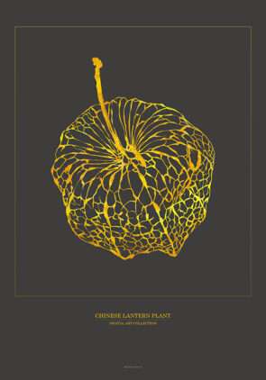 Kinesisk lanterneplante - Kunstplakat