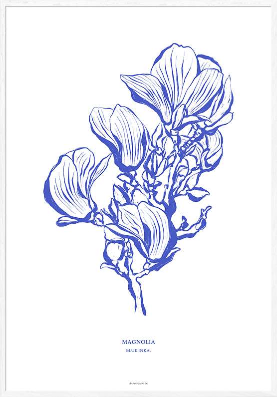 Billede af Kunstplakat - blå magnolia