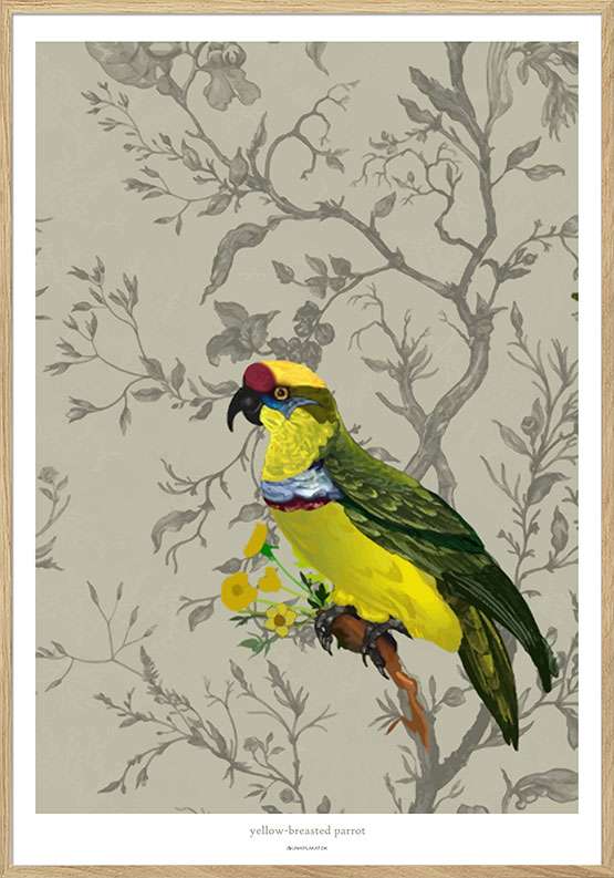 Gul papegøje - Grafisk plakat