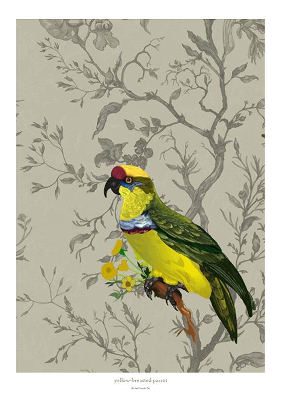 Grafisk plakat - den gule papegøje Unik Plakat