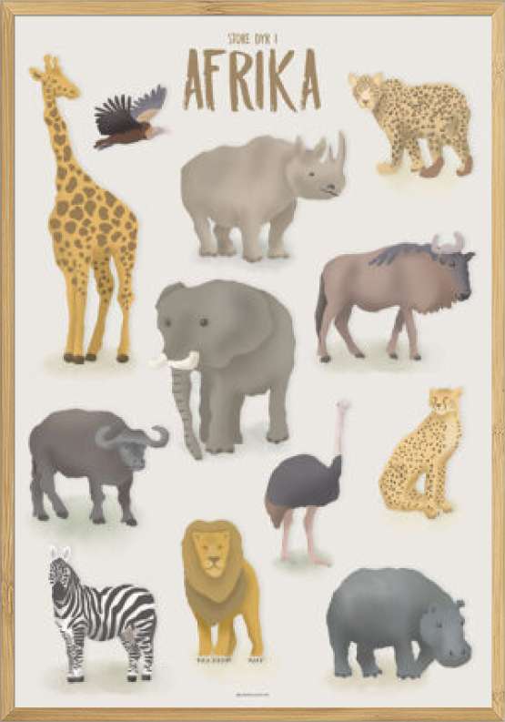 Plakat med dyr fra Afrika