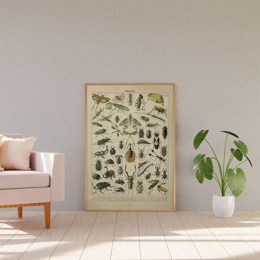 Adolphe Millot - Insectes - Insektplakat