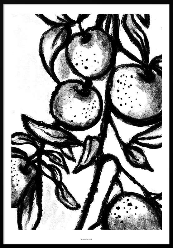 Billede af Sort-hvid plakat med appelsingren