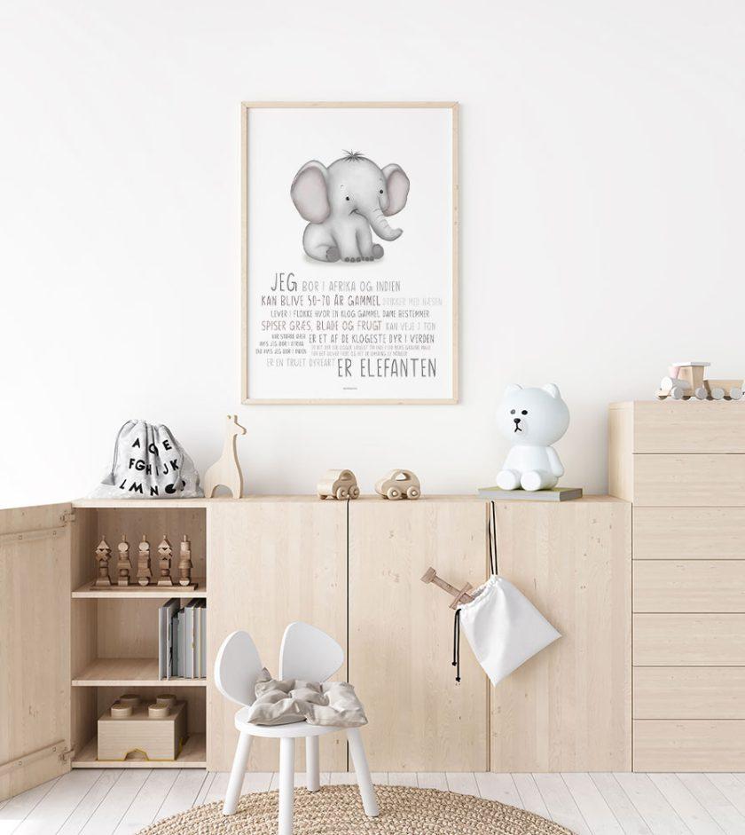 Børneplakat med elefant - lær om elefanten