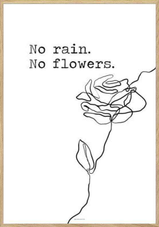 Plakat med kærlighedscitat - No rain no flowers