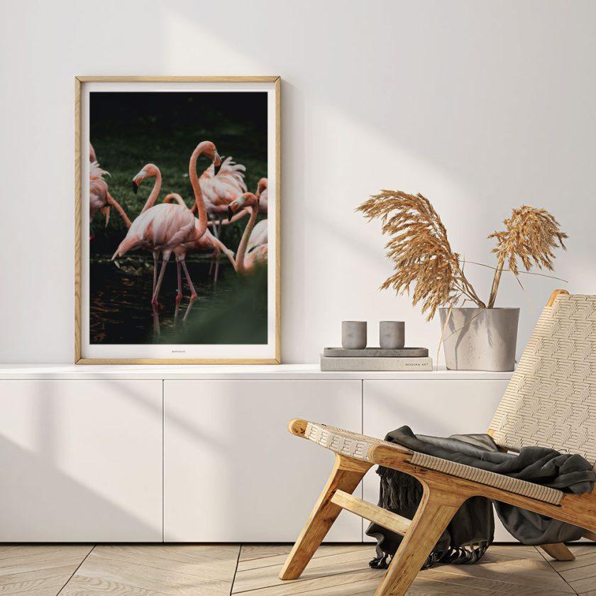 Plakat med flamingoer i dam