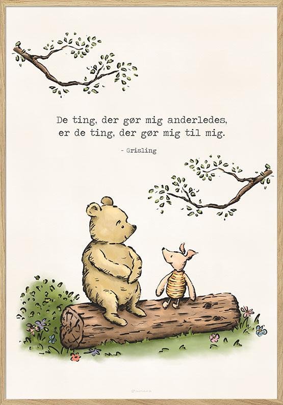 Peter Plys plakat - De ting