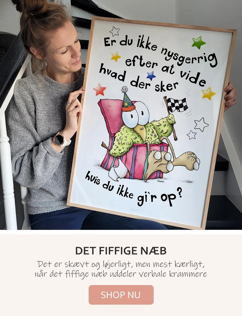 Fugleplakater - Det Fiffige Næb