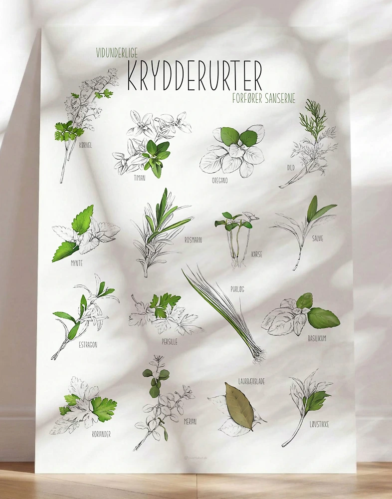 Plakat med krydderurter