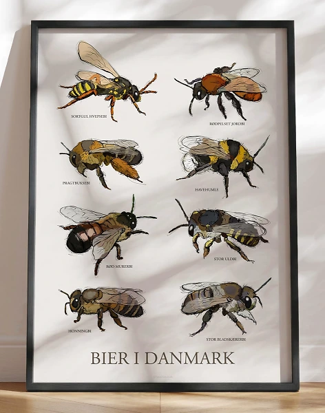 Plakat med bier - 8 håndtegnede danske bier