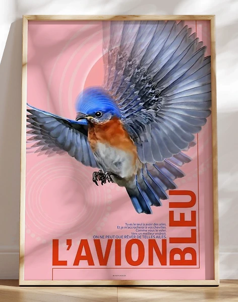 L'avion bleu - den blå flyver