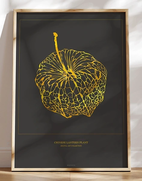 Kunstplakat med grafisk guldeffekt - Chinese Lantern Plant