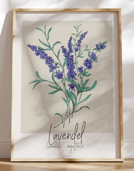 Kunstplakat - Lavendel