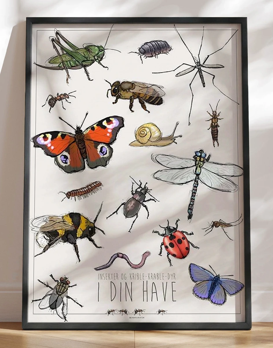 Plakat med insekter i haven