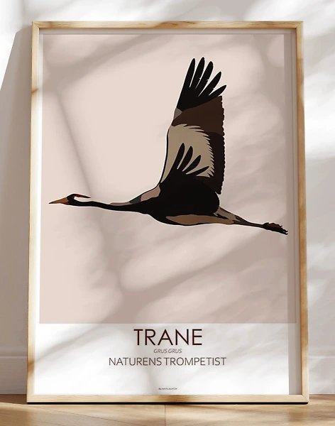 Grafisk plakat - Trane