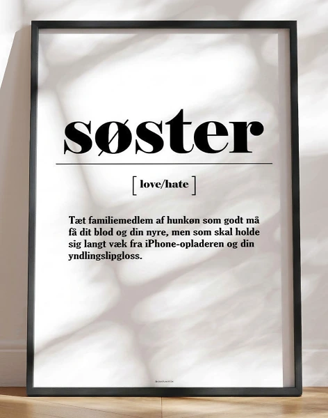 Plakat med sjov definition af søster