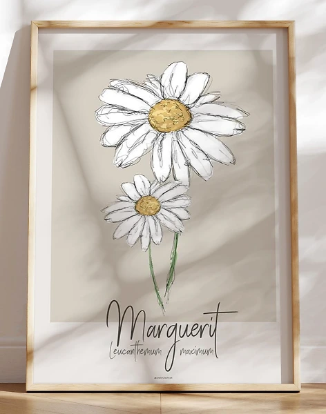 Kunstplakat - Marguerit