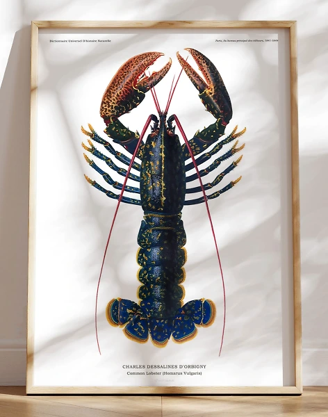 Hummer plakat