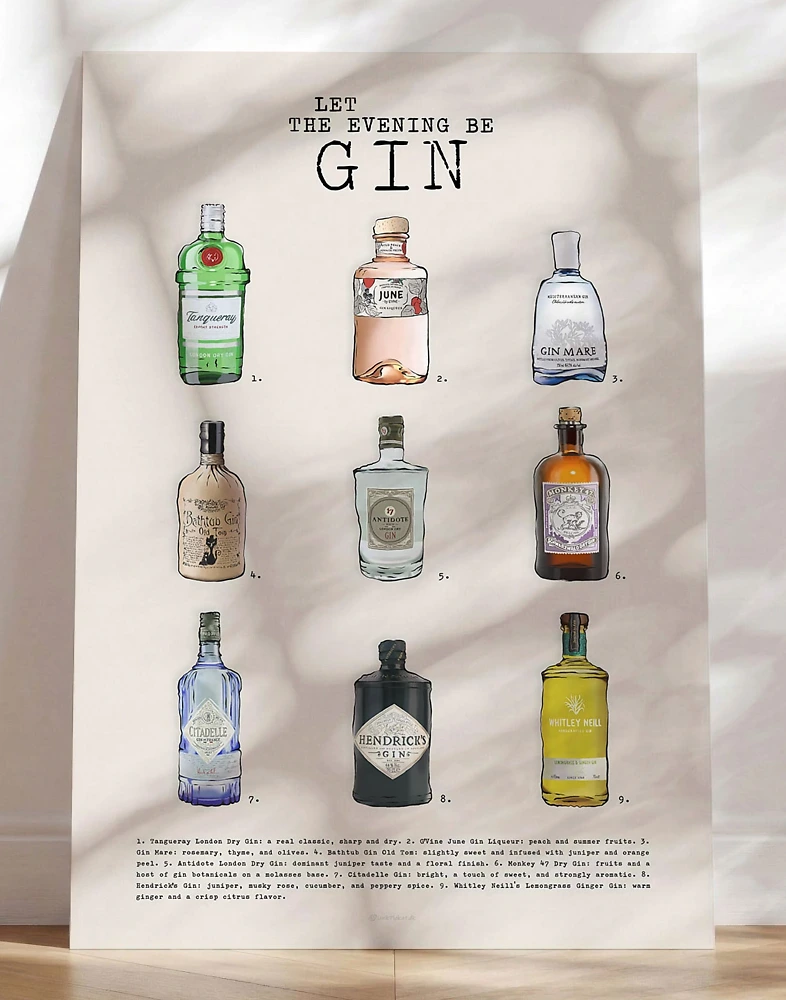 Gin plakat - 9 typer gin