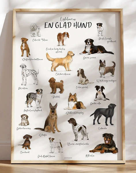Plakat med hunderacer - 20 dejlige [og håndtegnede] hunde