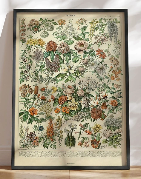 Adolphe Millot - Fleurs - Antik plakat med blomster