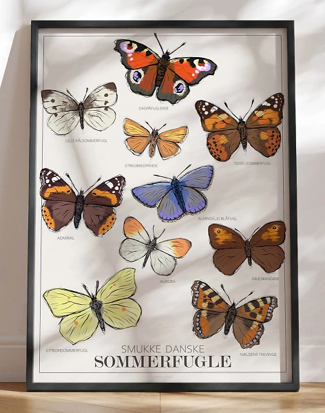 Plakat med sommerfugle - 10 almindelige danske sommerfugle