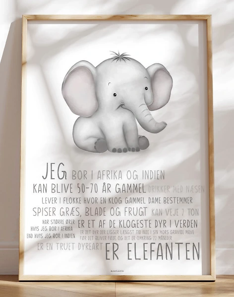 Børneplakat med elefant - lær om elefanten