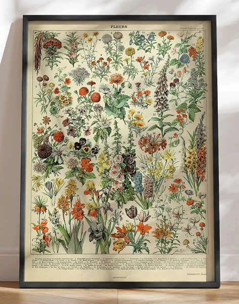 Adolphe Millot - Fleurs - Retroplakat med blomster