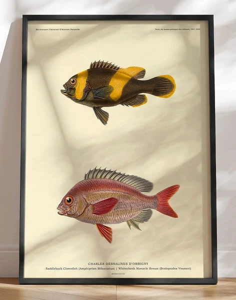Plakat med fisk - Charles Dessalines