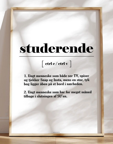 Definitionsplakat - studerende