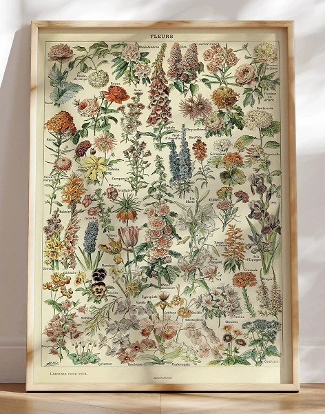 Adolphe Millot - Fleurs - Blomsterplakat