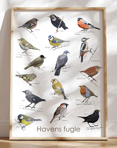 Plakat med havens fugle
