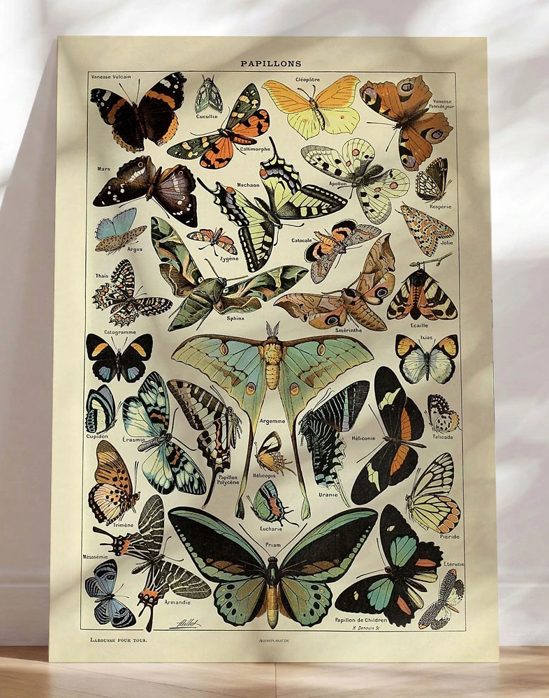 Adolphe Millot - Papillons Pour Tous - Retroplakat med sommerfugle