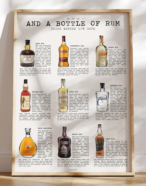 Rom plakat - skøn rom guide med info om 9 forskellige typer rom